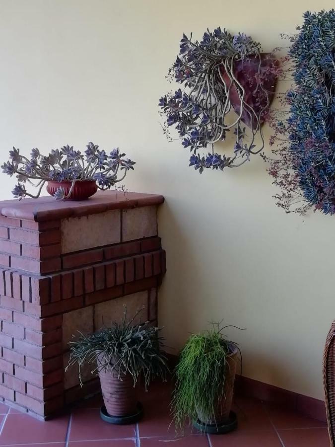 Il Melograno Bed & Breakfast Calitri Exterior photo